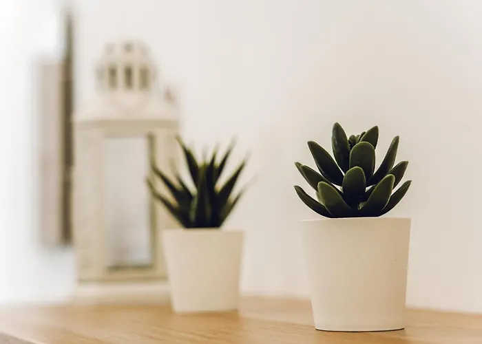 公寓 Residencial El Encuentro 4 *